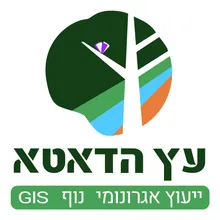 הלוגו של עץ הדאטא